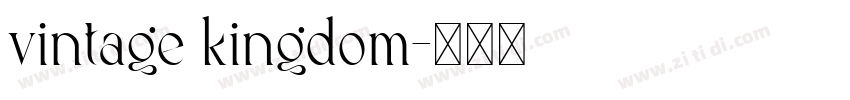vintage kingdom字体转换
